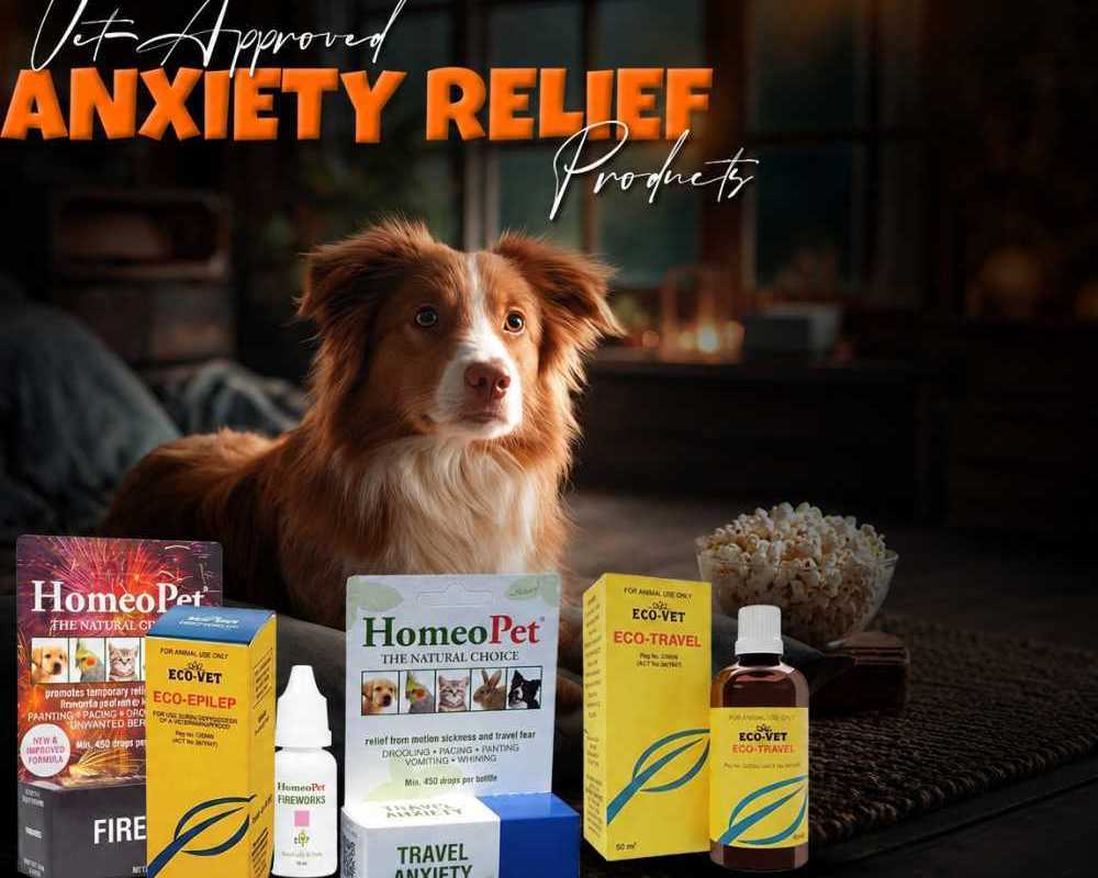 nexgard-for-dogs-monthly-flea-tick-protection
