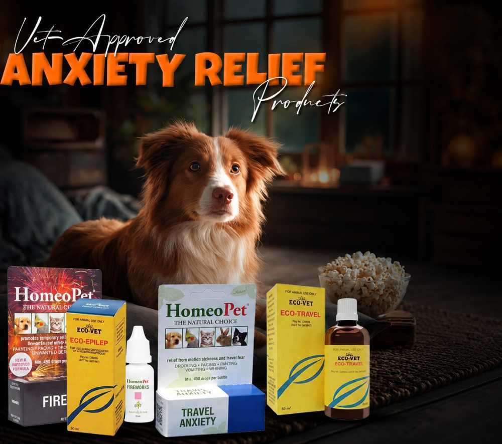 nexgard-for-dogs-monthly-flea-tick-protection-big-0