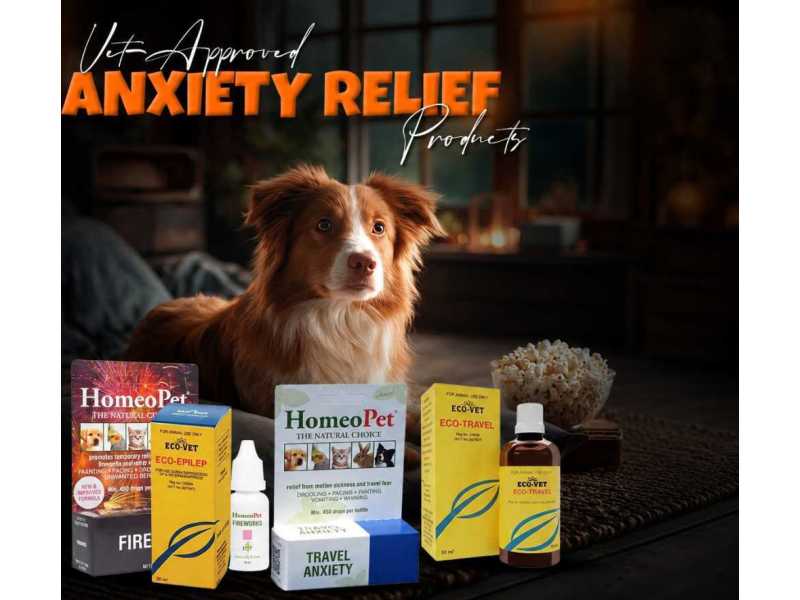 nexgard-for-dogs-monthly-flea-tick-protection-small-0