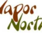 shop-high-quality-disposable-cigarettes-in-brainerd
