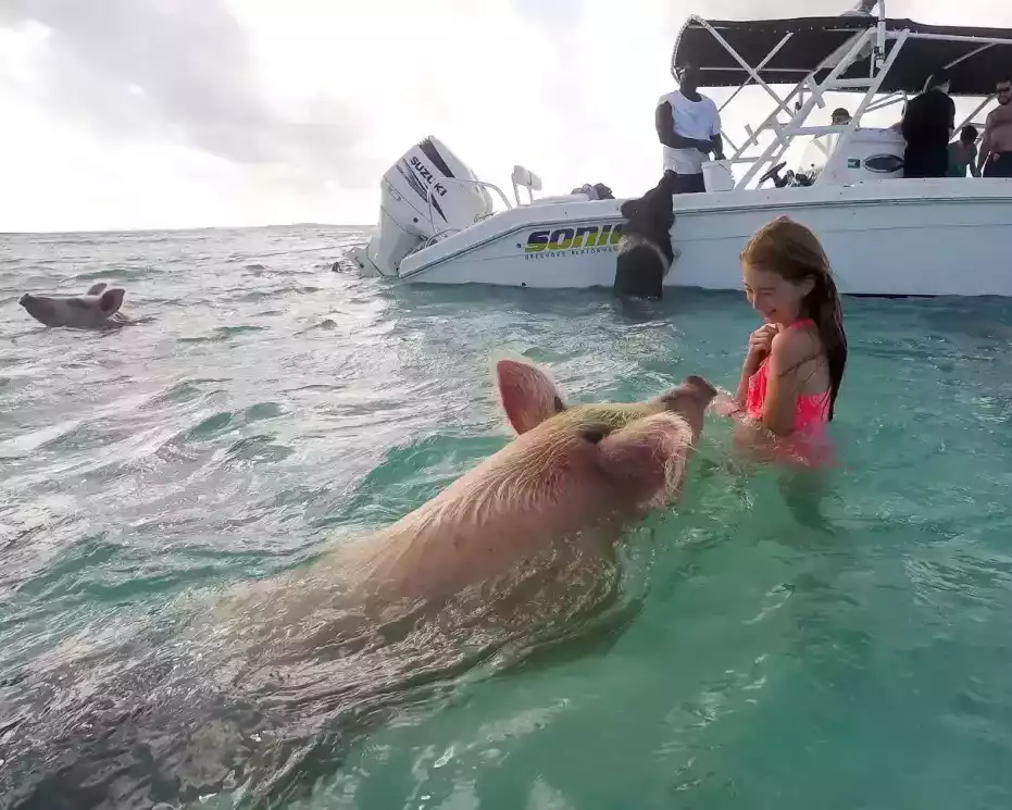enjoy-coastal-adventures-swimming-pigs-boat-excursion-in-the-bahamas