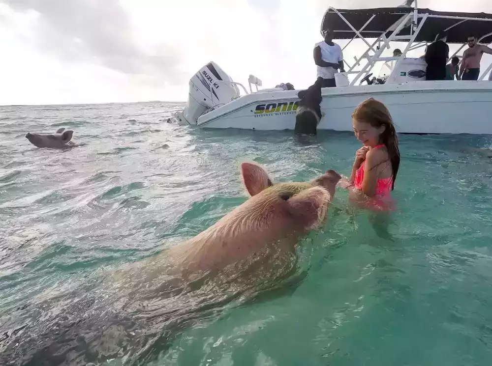 enjoy-coastal-adventures-swimming-pigs-boat-excursion-in-the-bahamas-big-0