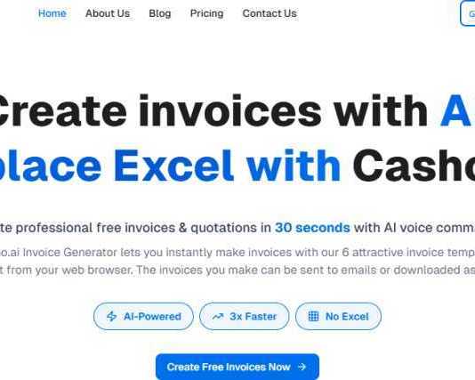 an-overview-of-casho-ai-for-business-finance