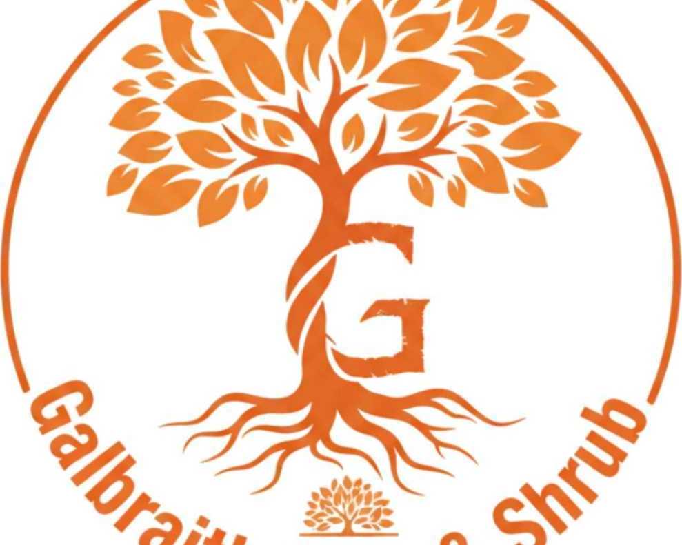 tree-service-geneseo-ny-for-reliable-tree-care-solutions