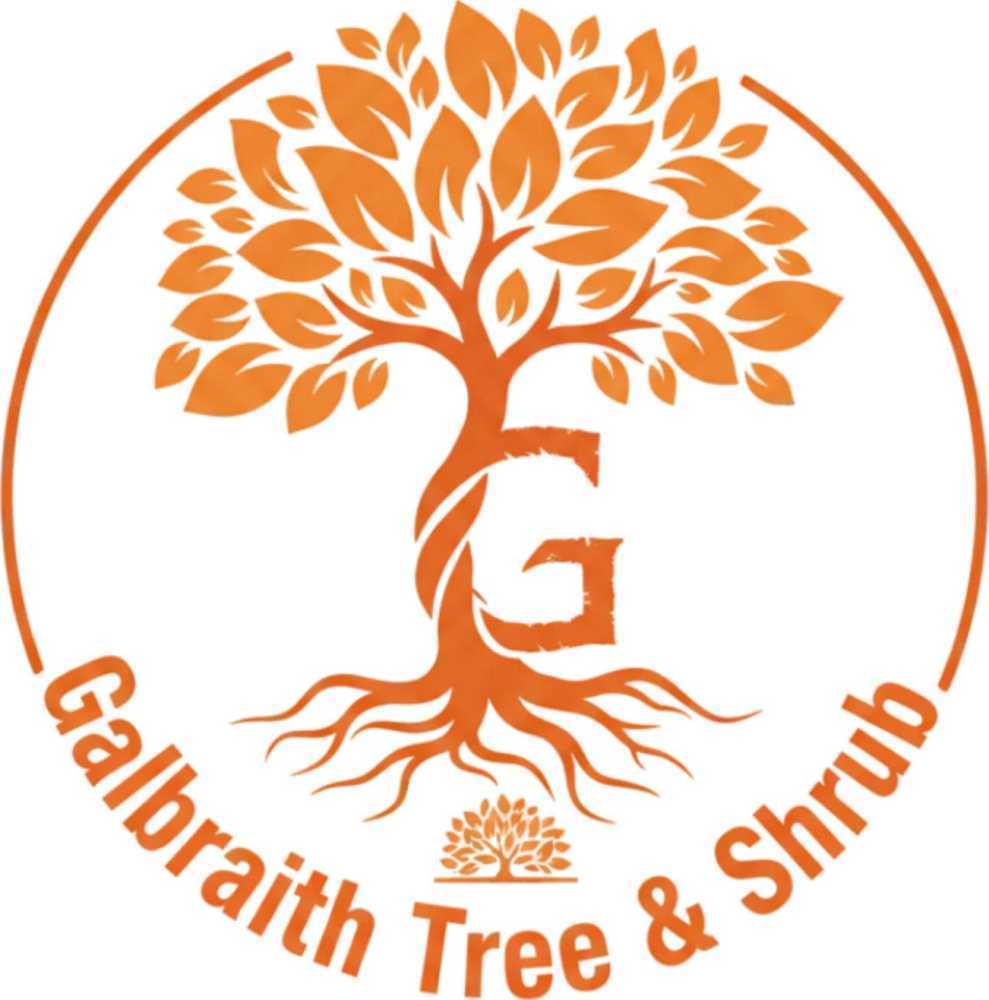 tree-service-geneseo-ny-for-reliable-tree-care-solutions-big-0