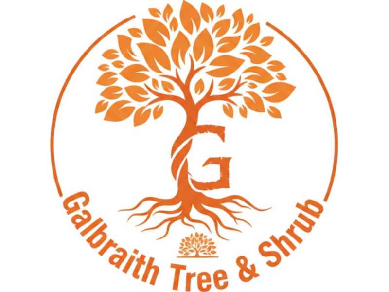 tree-service-geneseo-ny-for-reliable-tree-care-solutions-small-0