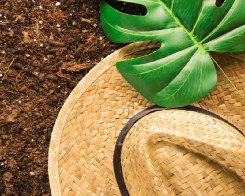 best-coco-coir-for-specialty-crops