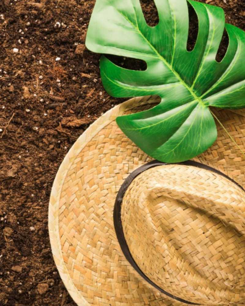 best-coco-coir-for-specialty-crops-big-0