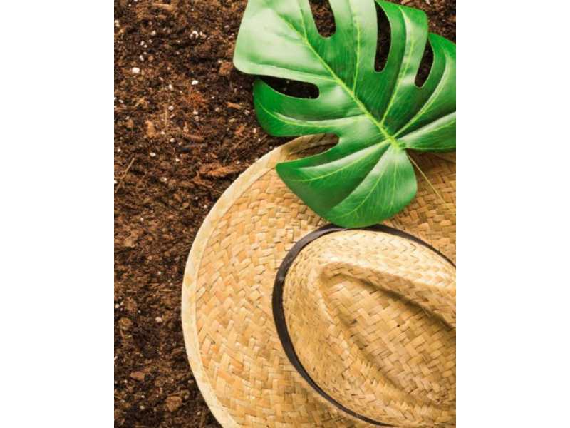 best-coco-coir-for-specialty-crops-small-0