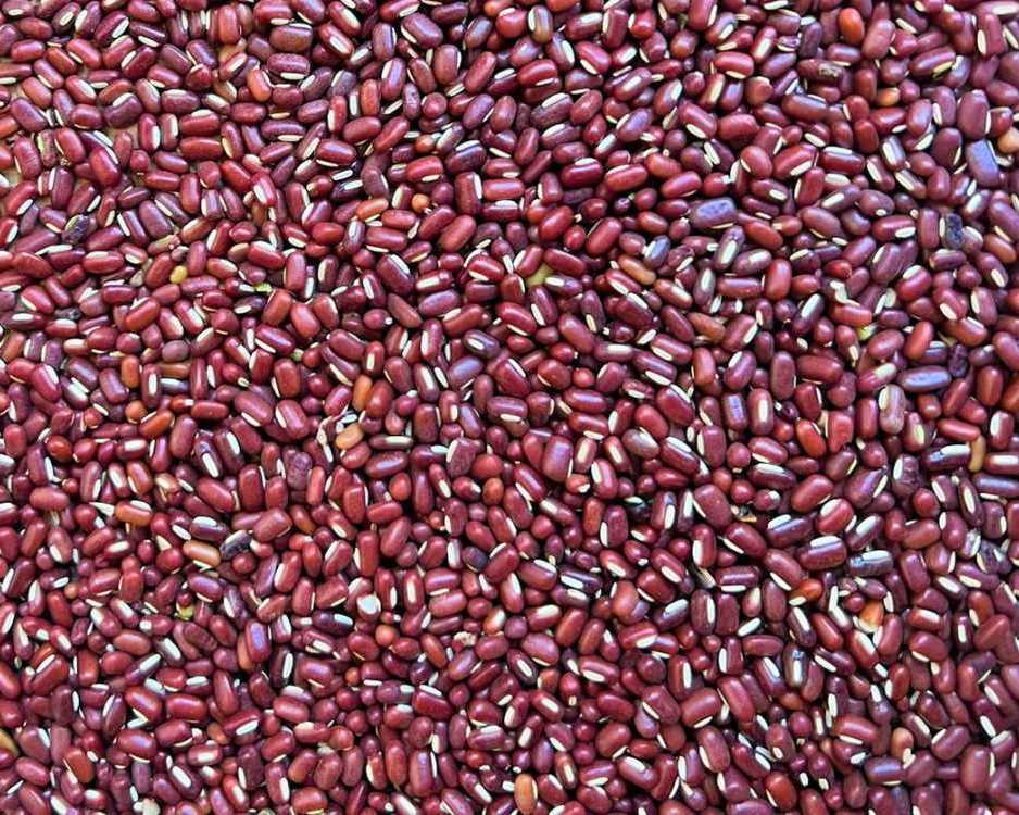 trusted-adzuki-beans-supplier-from-madagascar