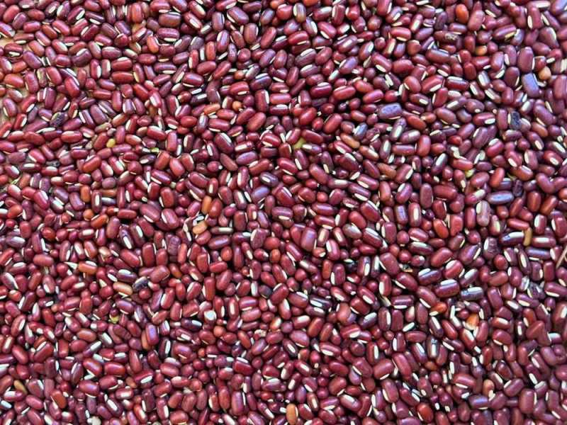 trusted-adzuki-beans-supplier-from-madagascar-small-0