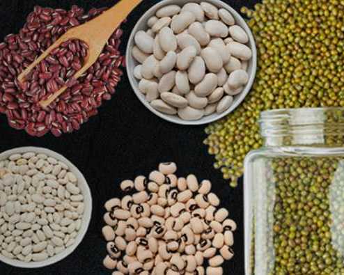 trusted-pulses-supplier-for-global-quality-needs