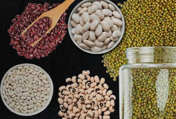 trusted-pulses-supplier-for-global-quality-needs-big-0