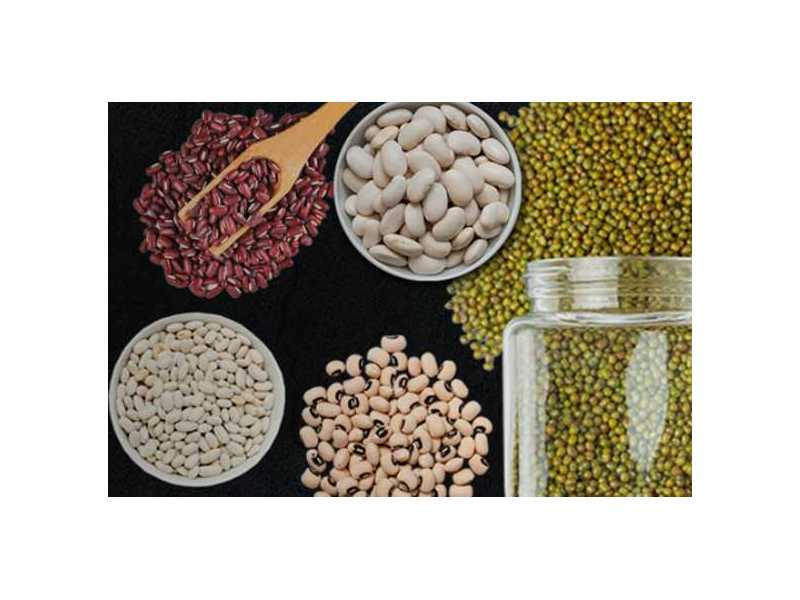 trusted-pulses-supplier-for-global-quality-needs-small-0