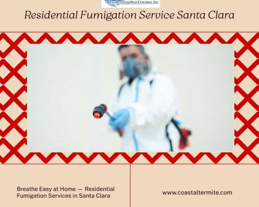 warning-signs-you-need-a-residential-termite-inspection-immediately
