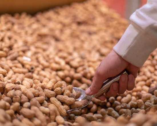 trusted-peanuts-supplier-from-madagascar