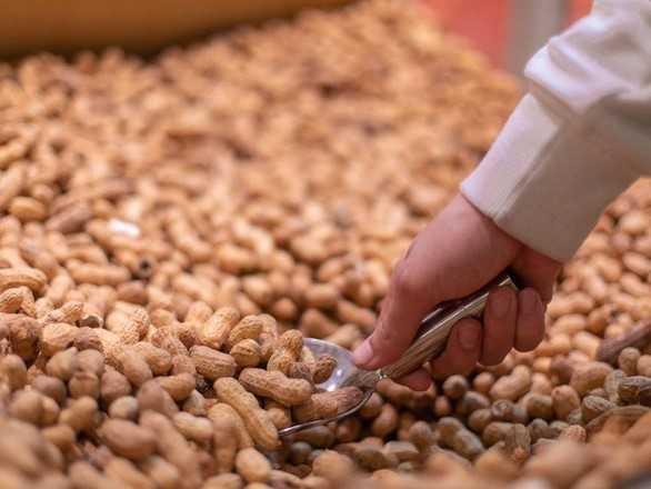 trusted-peanuts-supplier-from-madagascar-big-0