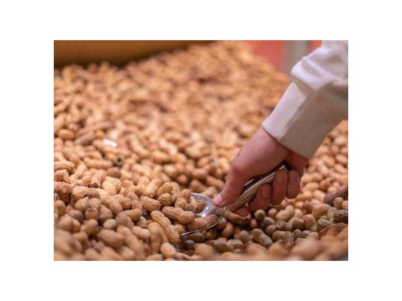trusted-peanuts-supplier-from-madagascar-small-0