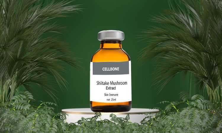 shiitake-mushroom-extract-solution-for-healthy-glowing-skin-big-0