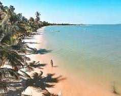 organisez-votre-voyage-en-groupe-senegal