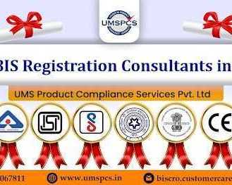 what-qualities-should-you-look-for-in-a-bis-consultant-in-delhi