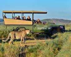 experiences-inoubliables-de-safari-afrique