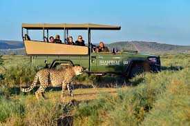 experiences-inoubliables-de-safari-afrique-big-0