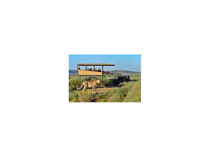 experiences-inoubliables-de-safari-afrique-small-0