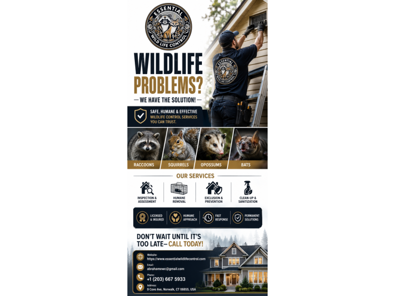 local-wildlife-removal-professionals-in-norwalk-ct-small-0