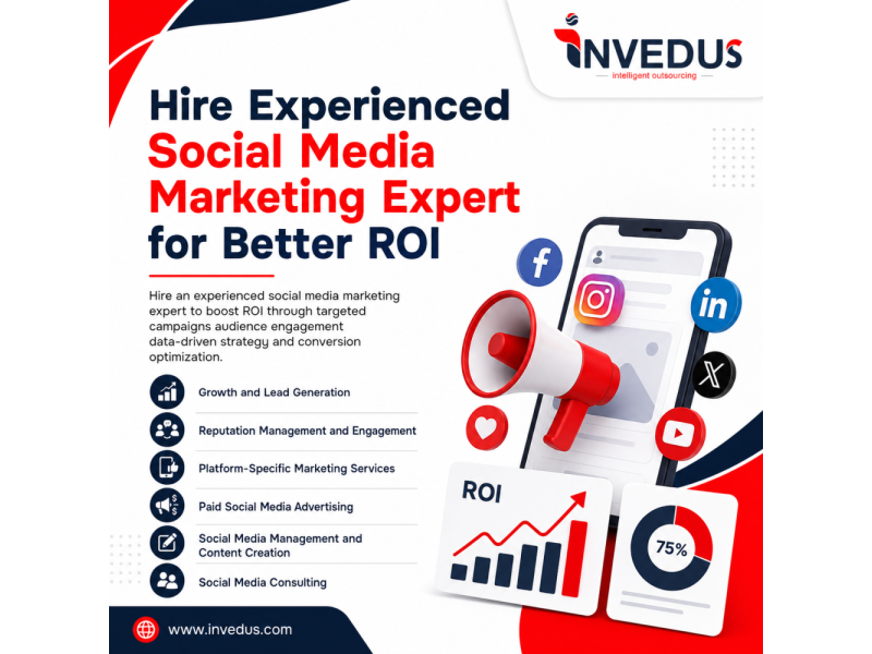 hire-social-media-expert-for-better-roi-small-0