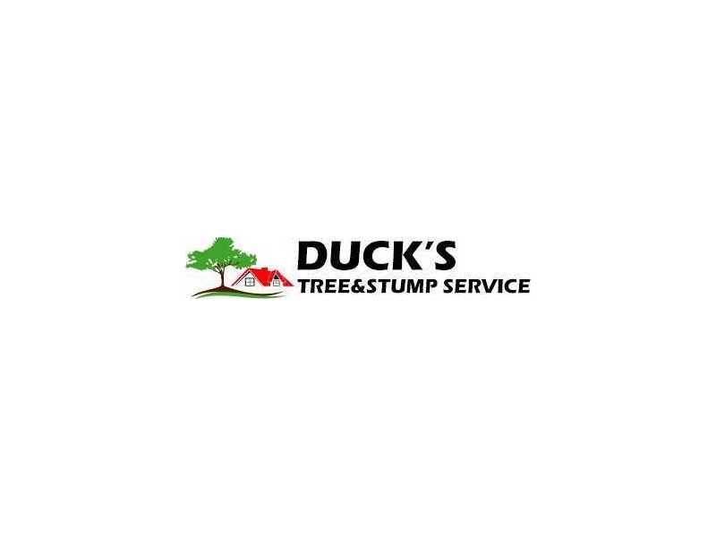 ducks-tree-and-stump-service-small-0