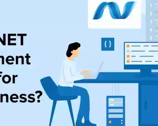best-outsource-asp-dot-net-developer-india