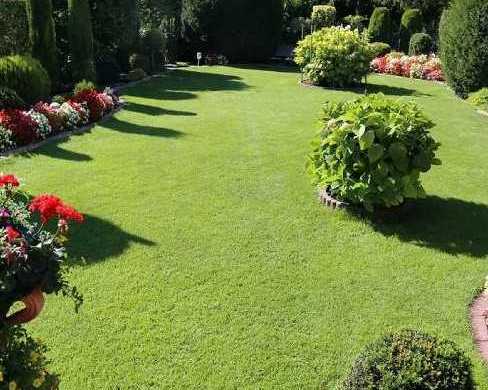 landscaping-company-in-gilroy