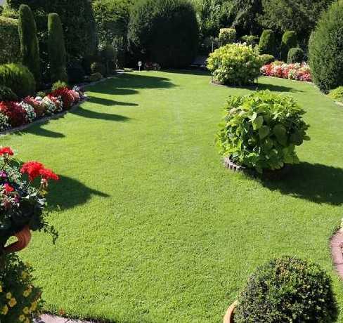 landscaping-company-in-gilroy-big-0