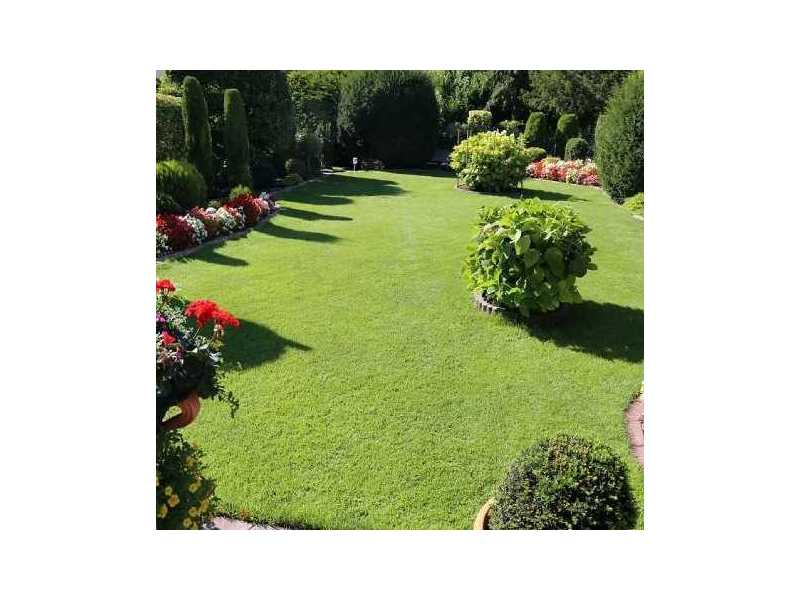 landscaping-company-in-gilroy-small-0