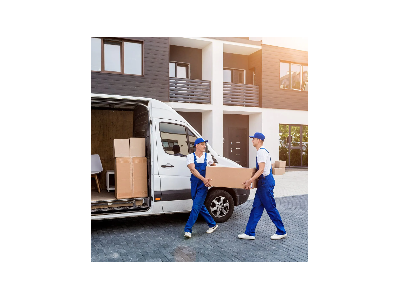 best-movers-in-florida-small-0