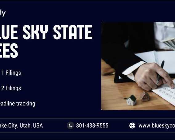 506c-vs-506b-key-differences-between-rule-506c-and-506b