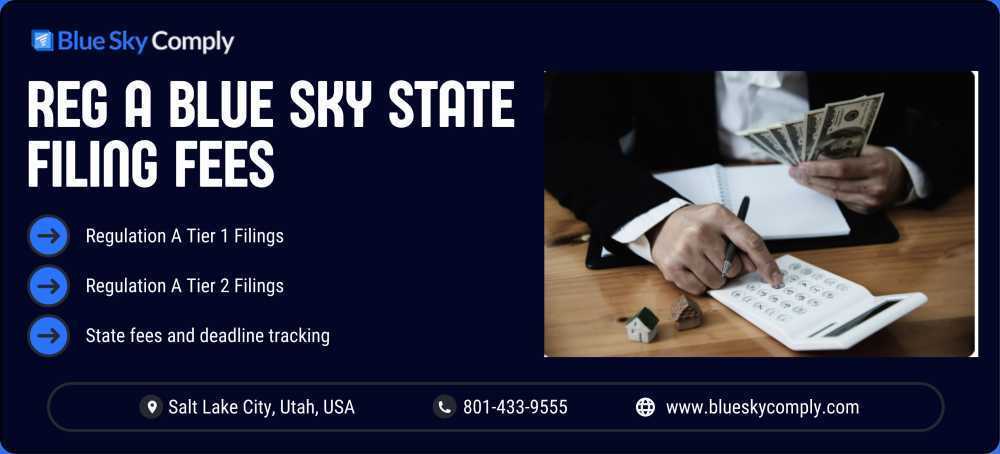 506c-vs-506b-key-differences-between-rule-506c-and-506b-big-0