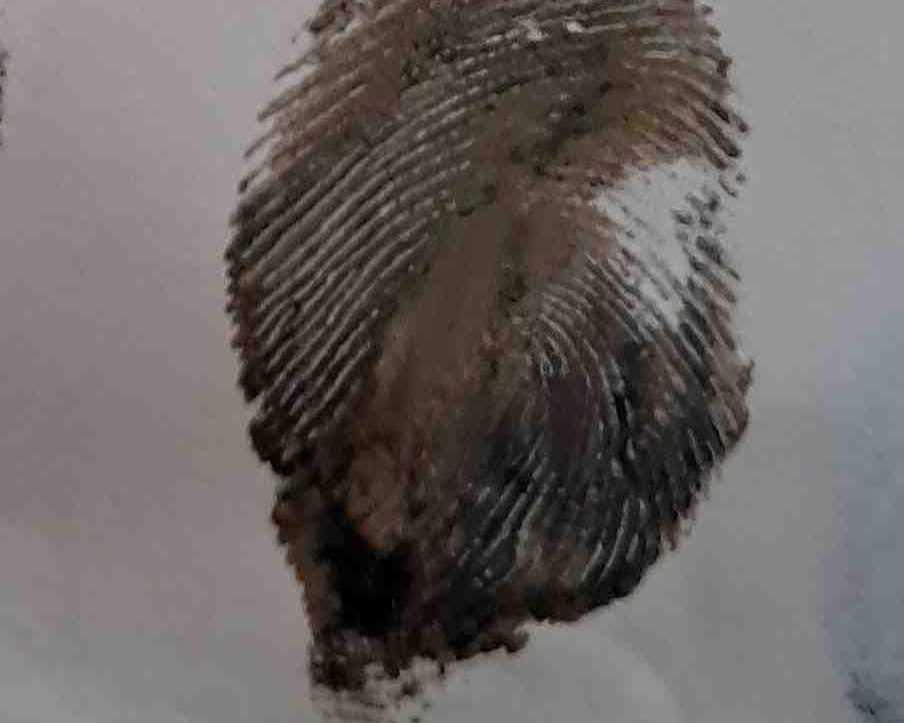 gurubhai247
