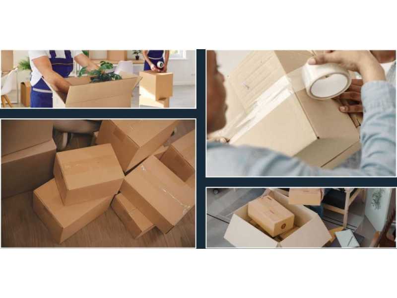reliable-specialty-moving-services-for-safe-relocation-small-1