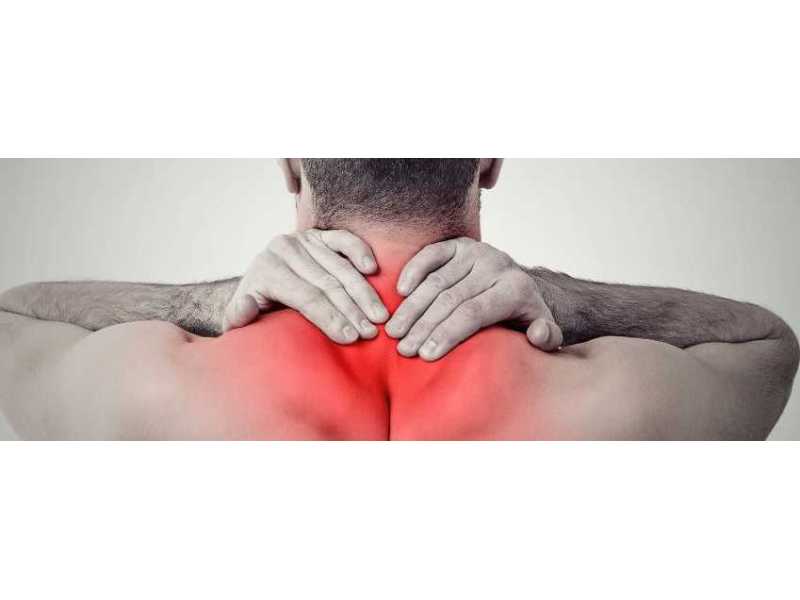 professional-physical-therapy-services-in-edison-new-jersey-premier-care-small-0