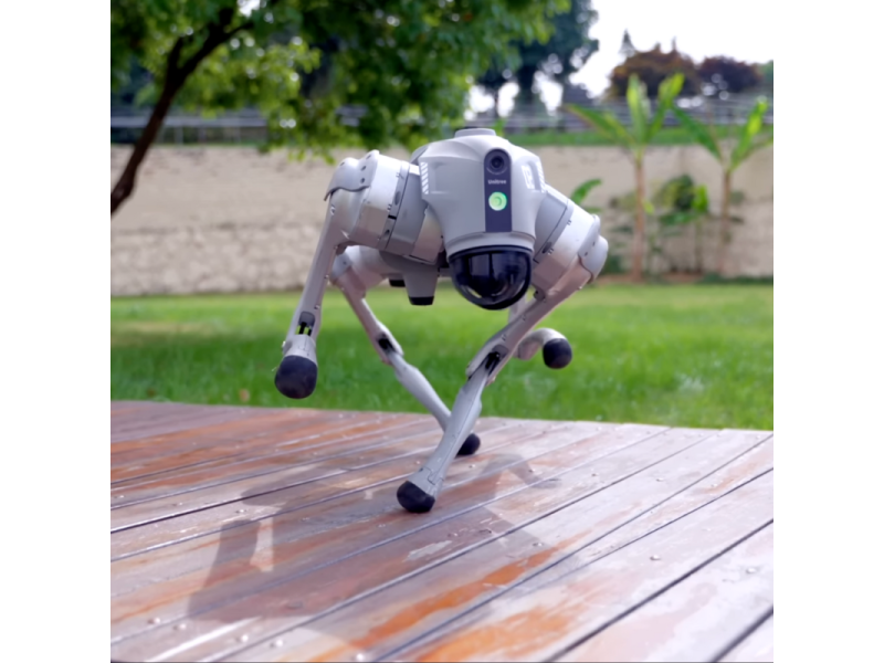 unitree-robot-dog-your-smart-companion-small-0