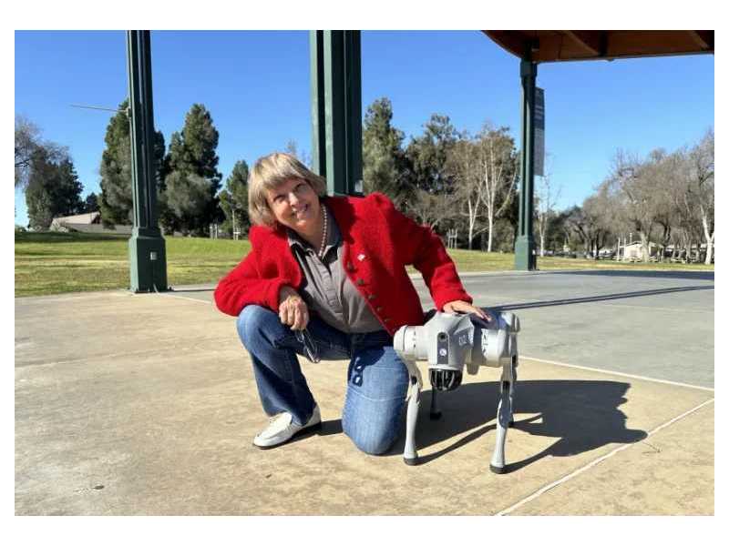 secure-large-spaces-with-unitree-parking-lot-security-robot-small-0