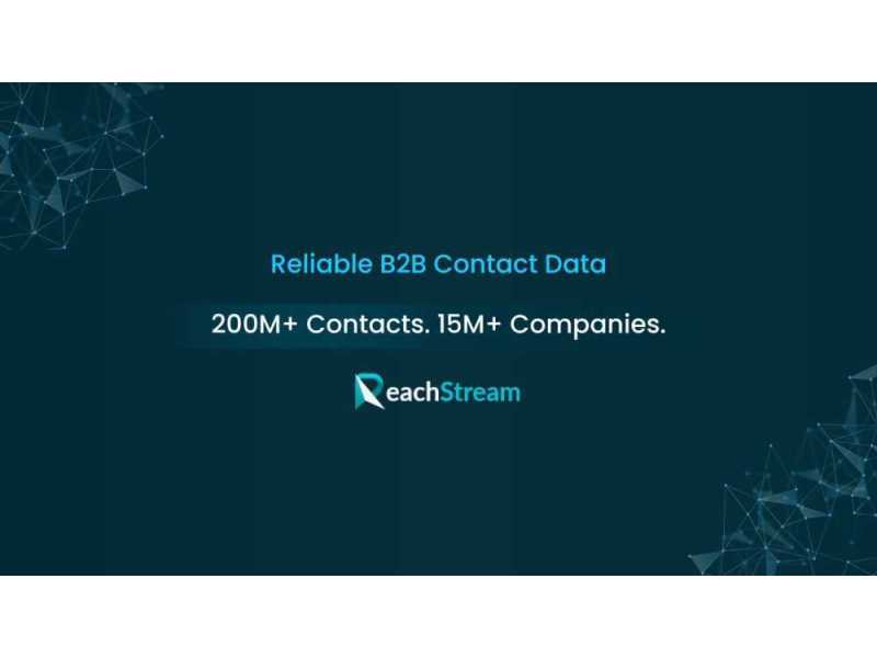 discover-flexible-b2b-data-solutions-with-reachstream-pricing-small-0