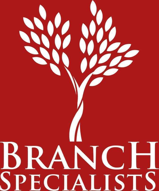 emergency-tree-service-buffalo-ny-tree-removal-buffalo-ny-big-0