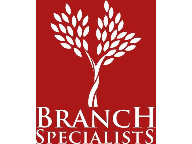 emergency-tree-service-buffalo-ny-tree-removal-buffalo-ny-small-0
