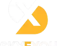 sky-exchange-new-id-number