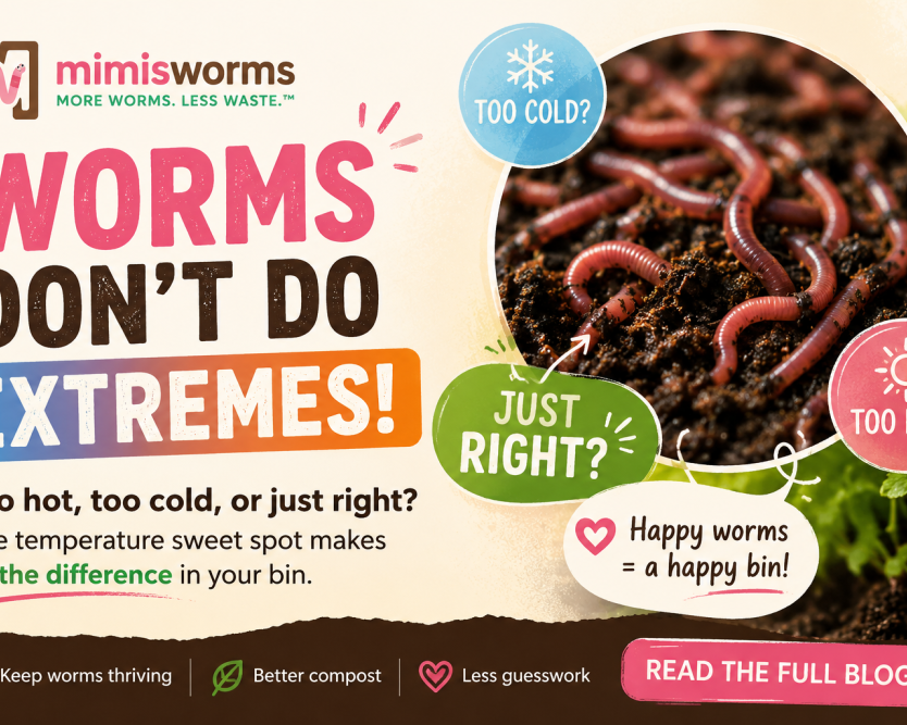 red-wiggler-temperature-guide-keep-your-worms-healthy-in-every-season