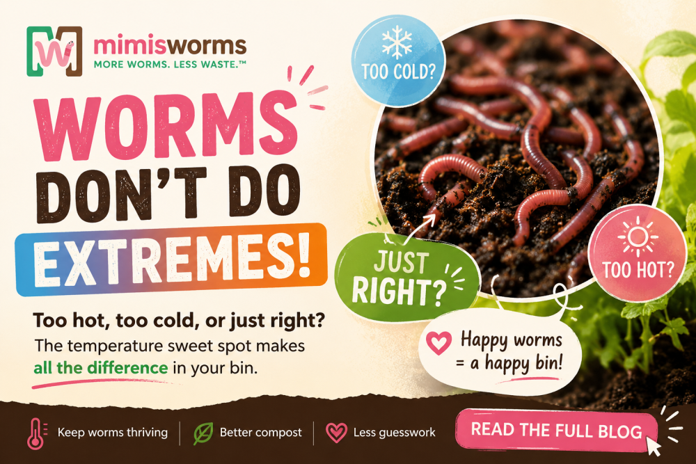 red-wiggler-temperature-guide-keep-your-worms-healthy-in-every-season-big-0