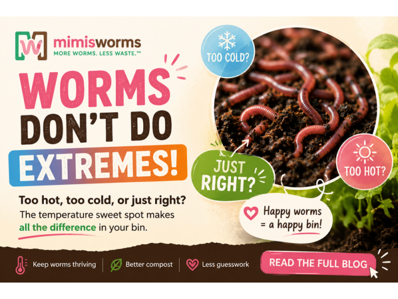 red-wiggler-temperature-guide-keep-your-worms-healthy-in-every-season-small-0